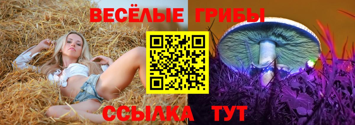 Галлюциногенные грибы мухоморы  Вход с VPN  Отрадное 