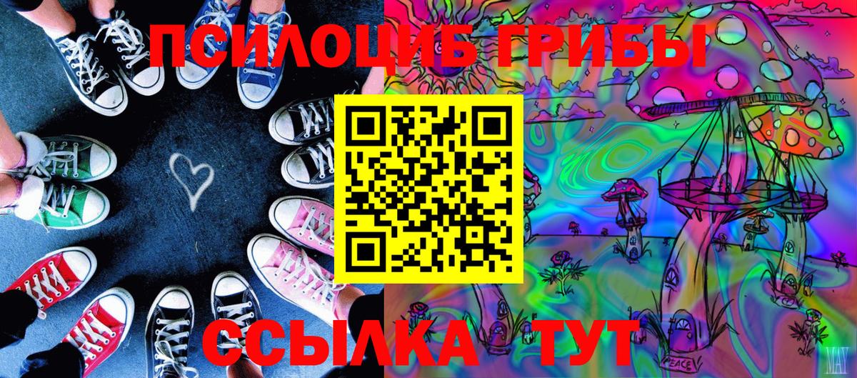 Галлюциногенные грибы мицелий Отрадное
